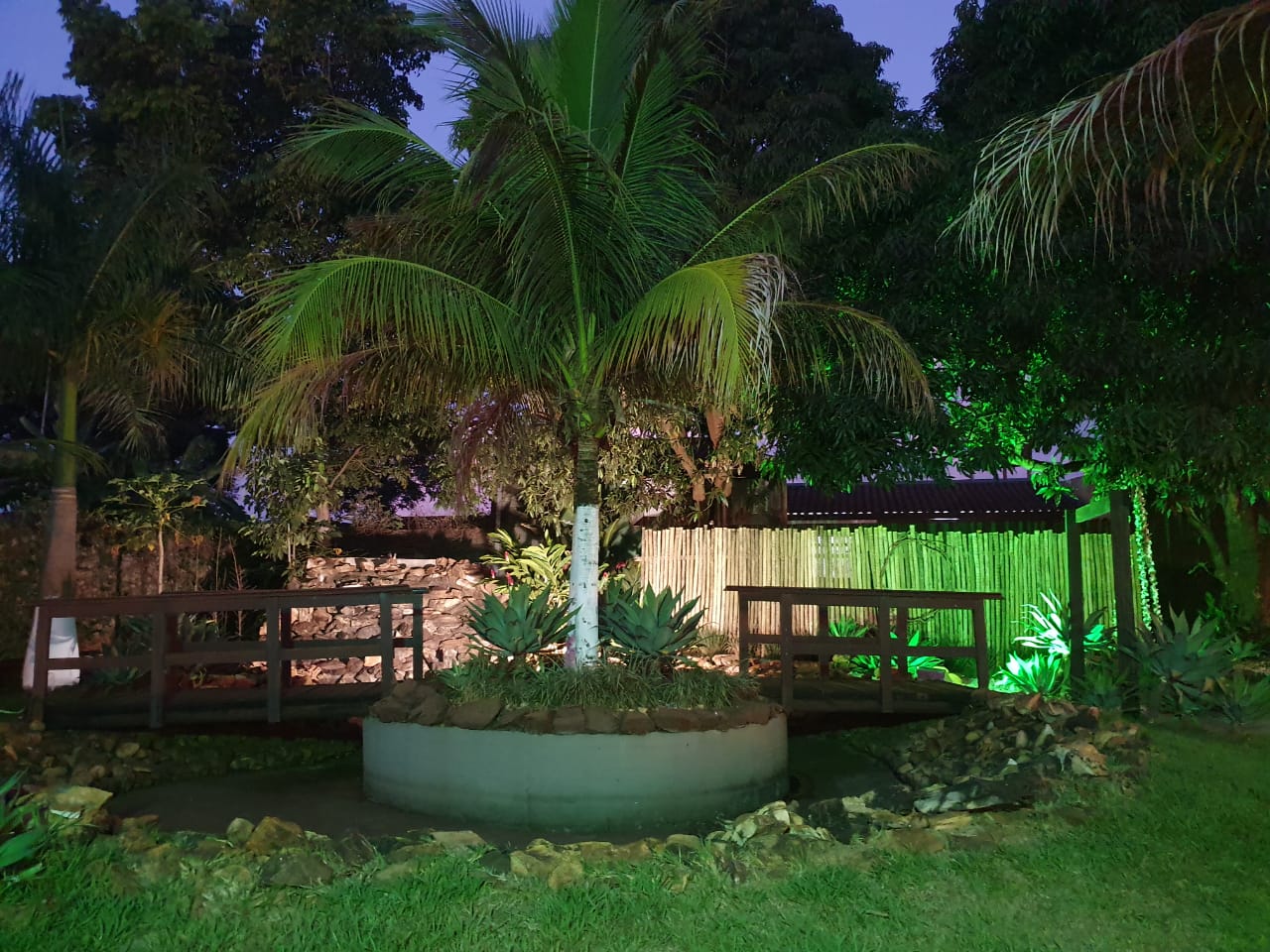 Jardim da New Fantasy com palmeiras e ponte iluminada